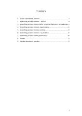 Sprendimų paramos sistemų įvairovė 2 puslapis