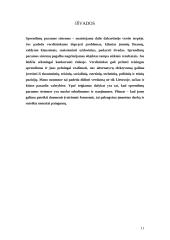 Sprendimų paramos sistemų įvairovė 11 puslapis