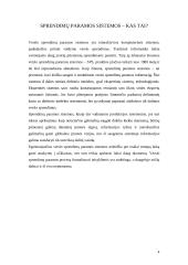 Sprendimų paramos sistemų įvairovė 4 puslapis