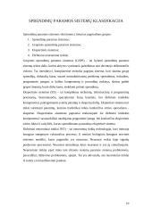 Sprendimų paramos sistemų įvairovė 10 puslapis