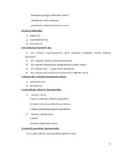 Sprendimų paramos sistemų klasifikavimas 11 puslapis