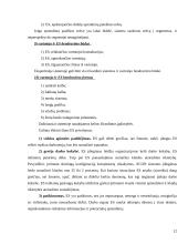 Sprendimų paramos sistemų klasifikavimas 12 puslapis