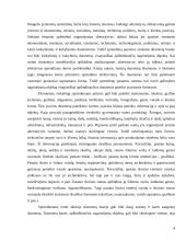 Sprendimų paramos sistemų klasifikavimas 4 puslapis