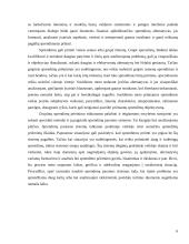 Sprendimų paramos sistemų klasifikavimas 6 puslapis