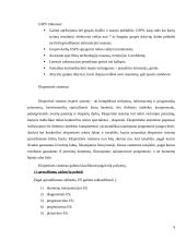 Sprendimų paramos sistemų klasifikavimas 9 puslapis