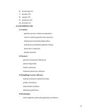 Sprendimų paramos sistemų klasifikavimas 10 puslapis