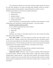 Sprendimų priėmimas 3 puslapis