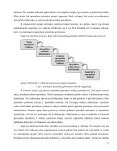 Sprendimų priėmimas: naftos, naftos produktų ir anglies ekspertizė UAB "SGS Klaipėda LTD" 10 puslapis