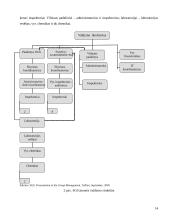 Sprendimų priėmimas: naftos, naftos produktų ir anglies ekspertizė UAB "SGS Klaipėda LTD" 13 puslapis