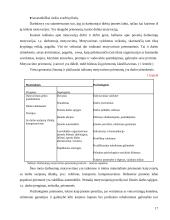 Sprendimų priėmimas: naftos, naftos produktų ir anglies ekspertizė UAB "SGS Klaipėda LTD" 16 puslapis