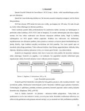 Sprendimų priėmimas: naftos, naftos produktų ir anglies ekspertizė UAB "SGS Klaipėda LTD" 19 puslapis