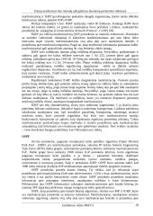 Srautų maršrutizavimo metodų palyginimas duomenų perdavimo tinkluose 18 puslapis