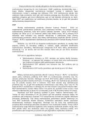 Srautų maršrutizavimo metodų palyginimas duomenų perdavimo tinkluose 19 puslapis