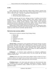 Srautų maršrutizavimo metodų palyginimas duomenų perdavimo tinkluose 4 puslapis