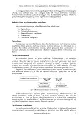 Srautų maršrutizavimo metodų palyginimas duomenų perdavimo tinkluose 5 puslapis