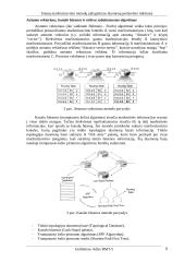 Srautų maršrutizavimo metodų palyginimas duomenų perdavimo tinkluose 8 puslapis