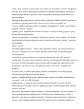 Stasio Šalkauskio mintys apie socialinį darbą 2 puslapis