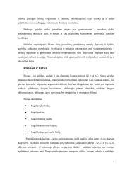 Statybiniai metalai 2 puslapis