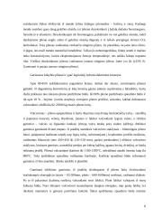 Statybiniai metalai 7 puslapis