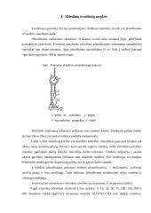 Statybiniai skiediniai 3 puslapis