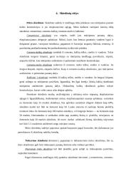 Statybiniai skiediniai 5 puslapis