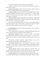 Statybiniai skiediniai 7 puslapis