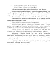 Statybiniai skiediniai 9 puslapis