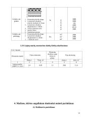 Buitinių prietaisų konstrukcijų gamyklos statybos organizavimas 11 puslapis