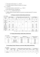 Buitinių prietaisų konstrukcijų gamyklos statybos organizavimas 7 puslapis