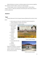 Statinių rūšys pagal naudojimo paskirtį 14 puslapis