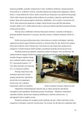 Statinių rūšys pagal naudojimo paskirtį 16 puslapis