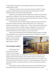 Statinių rūšys pagal naudojimo paskirtį 17 puslapis