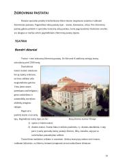 Statinių rūšys pagal naudojimo paskirtį 19 puslapis