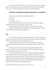 Statinių rūšys pagal naudojimo paskirtį 20 puslapis