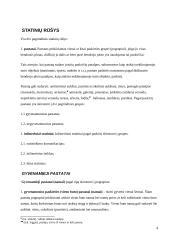 Statinių rūšys pagal naudojimo paskirtį 4 puslapis