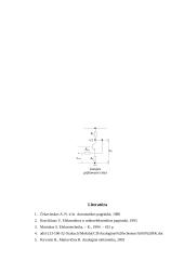 Elektrinių signalų stiprintuvai 10 puslapis