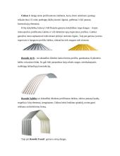 Stogo dangos 11 puslapis