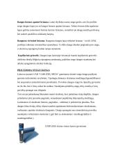 Stogo dangos 3 puslapis