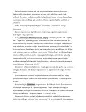 Stogo dangos 6 puslapis