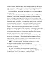 Stogo dangos 8 puslapis