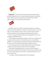 Stogo dangos 9 puslapis