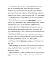 Stogo dangos 10 puslapis