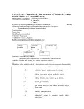 Stomatologija 2 puslapis