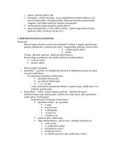 Stomatologija 11 puslapis