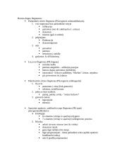 Stomatologija 12 puslapis