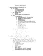 Stomatologija 13 puslapis