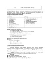 Stomatologija 3 puslapis