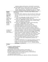 Stomatologija 9 puslapis