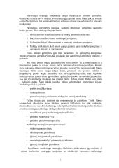 Strateginio planavimo esmė ir reikšmė 2 puslapis