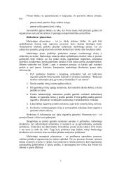 Strateginio planavimo esmė ir reikšmė 4 puslapis